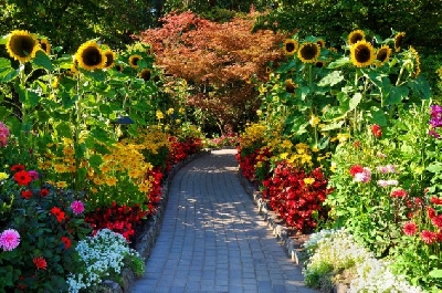 Lời khuyên giúp bạn biến khu vườn thành không gian thư giãn tuyệt vời -  vườn tuyệt vời làm từ hoa dưới đây để khu vườn nhà mình đầy màu sắc.
1. Trồng hàng rào hoa
Các loài hoa luôn là lời chào đón nồng nhiệt và hiệu quả nhất. Chính vì thế sử dụng hàng rào 